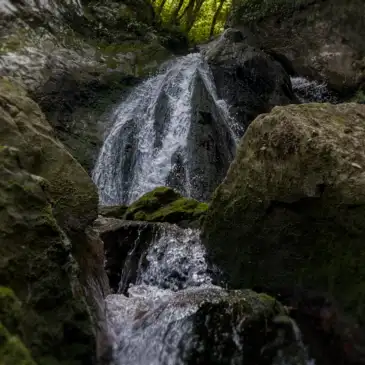 FrequenzBoost Heilung Menschsein Frequenzen Hingabe fühlen Klänge Wasserfall Fluss Spiel des Liebens