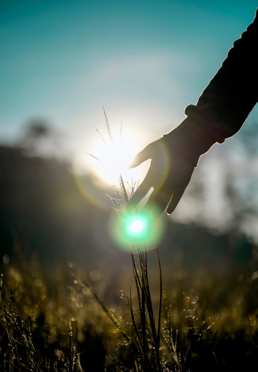 LichtRaum Licht Heilung Seelenheilraum Raum Feld Felder loahoku Menschsein Jetzt Ruhe Kraft Entspannung