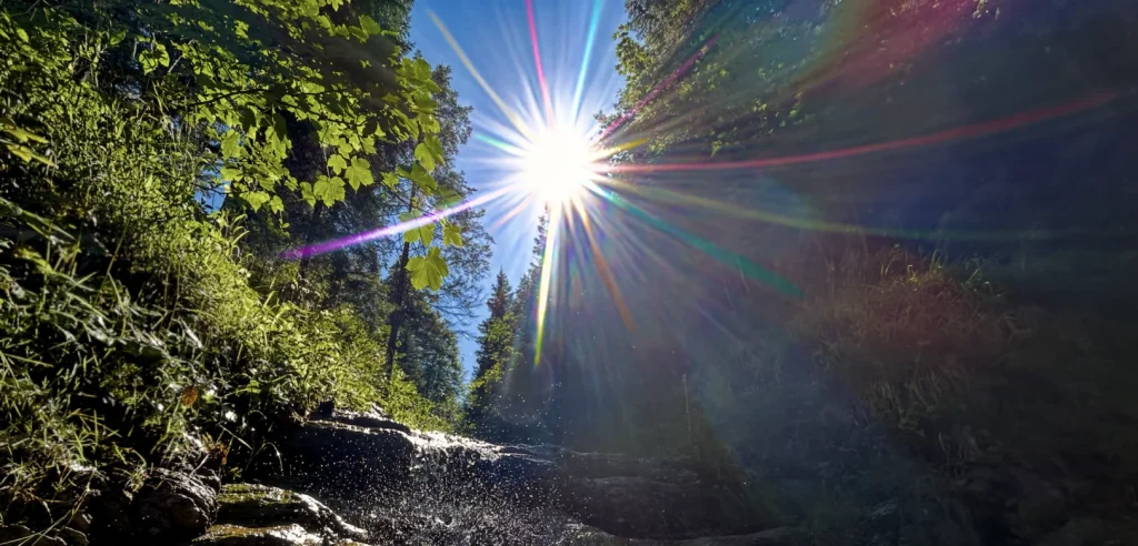 Monat September Sonne ZeitQualität MenschSein Heilung Bewusstsein Kraft Bäume Liebe