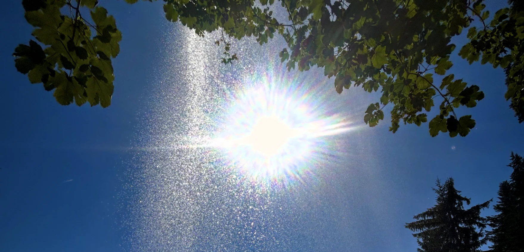 ZeitQualität Menschsein Worte Channeling Heilung Sonne Wasser Erde Baum Leben Bewusstsein Oktober Lieben Spiel des Liebens