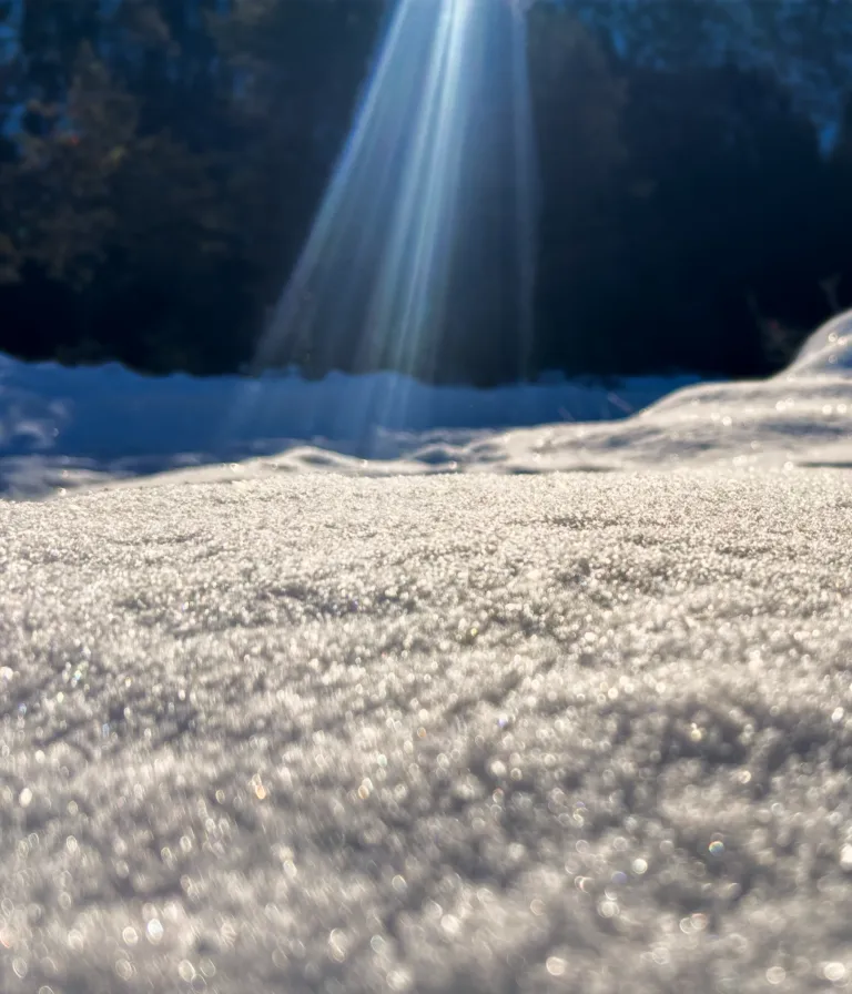 Rauhnächte Räuchernächte Schnee Menschsein Heilung Feld der Wunder Lichtraum Programm Wunder 2025 2026 25 26